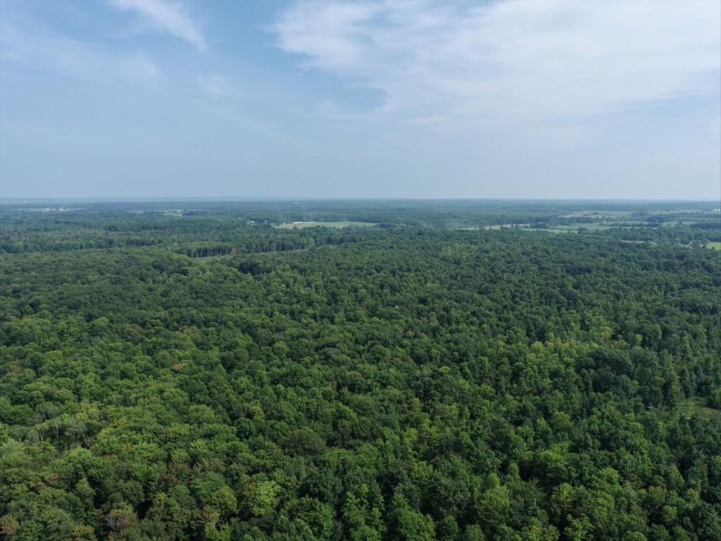 20 Acres On Reeds Corner Road, Conneautville, Pennsylvania image 3