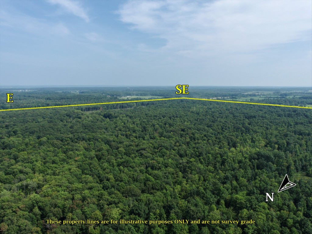 20 Acres On Reeds Corner Road, Conneautville, Pennsylvania image 4