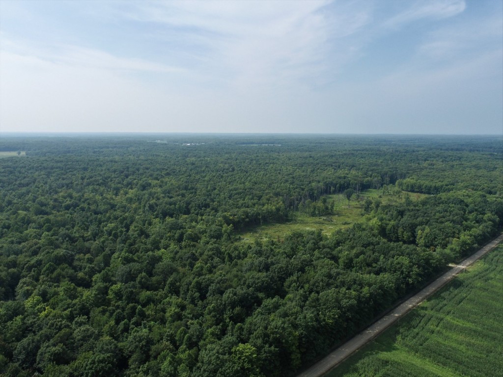 20 Acres On Reeds Corner Road, Conneautville, Pennsylvania image 11