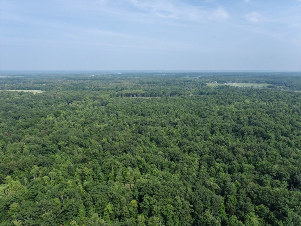 20 Acres On Reeds Corner Road, Conneautville, Pennsylvania image 1