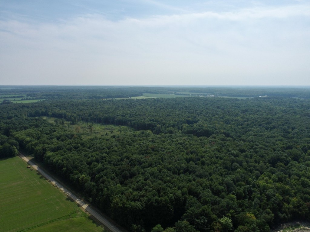 20 Acres On Reeds Corner Road, Conneautville, Pennsylvania image 7