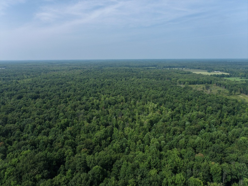 20 Acres On Reeds Corner Road, Conneautville, Pennsylvania image 13