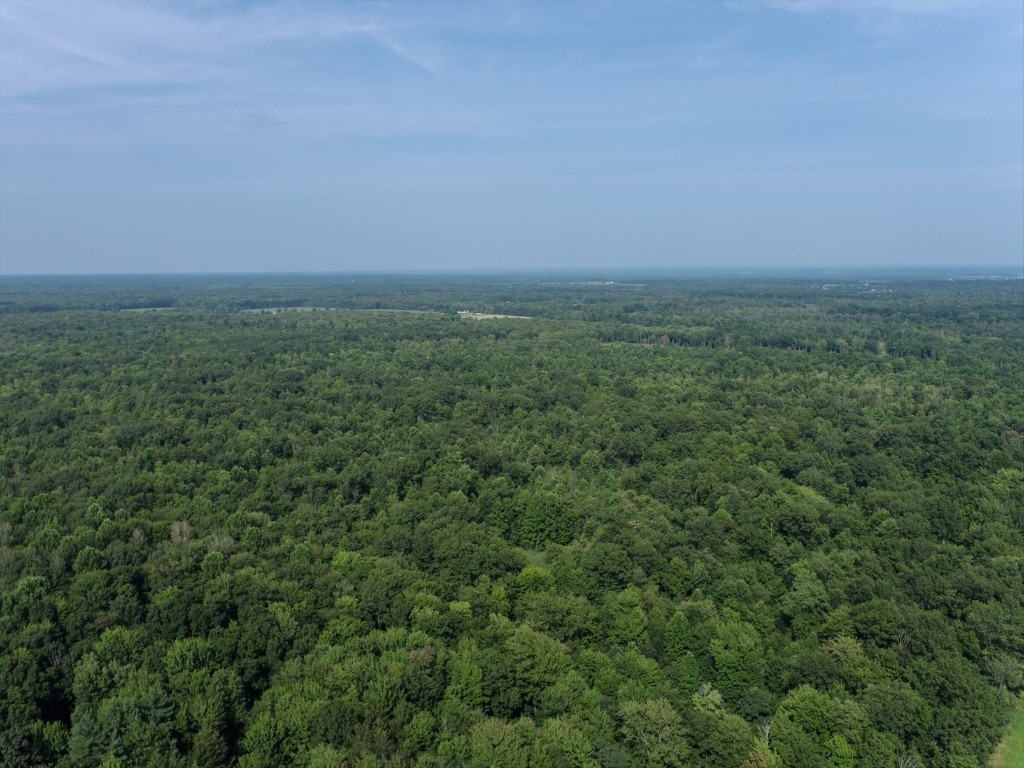 20 Acres On Reeds Corner Road, Conneautville, Pennsylvania image 15