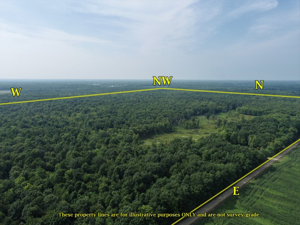 20 Acres On Reeds Corner Road, Conneautville, Pennsylvania image 12