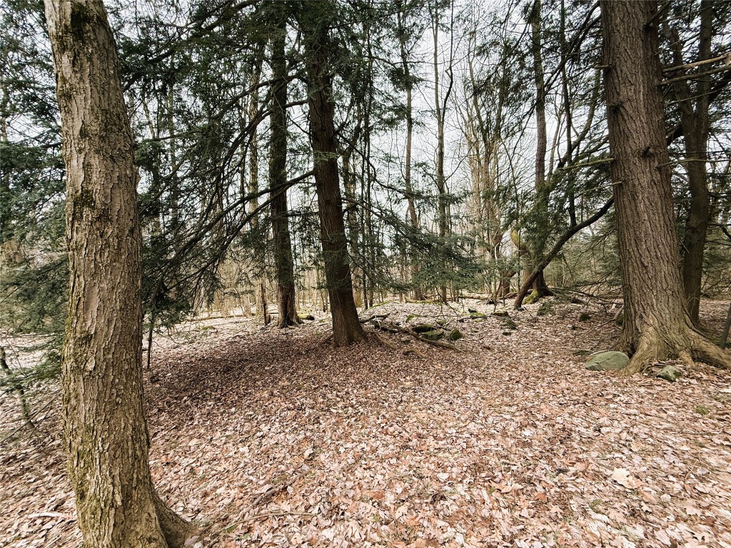 20807 Sarah Drive, Meadville, Pennsylvania image 6