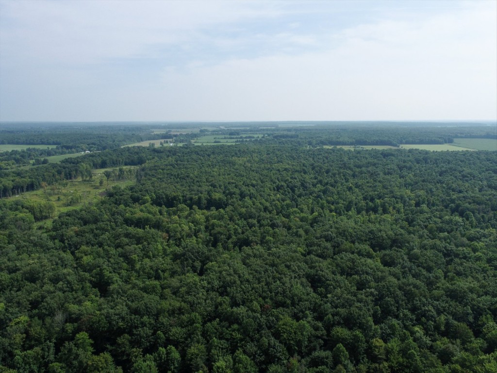 10 Acres On Reeds Corner Road, Conneautville, Pennsylvania image 5