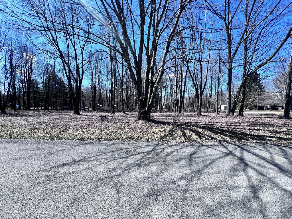 2369 Leach Road, Linesville, Pennsylvania image 1