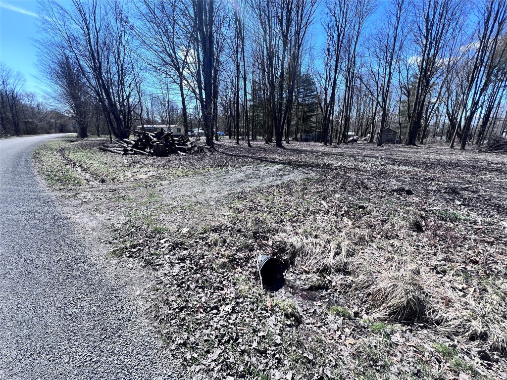 2369 Leach Road, Linesville, Pennsylvania image 3