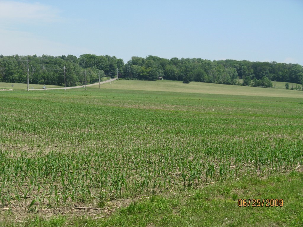 Flower Road, Erie, Pennsylvania image 3