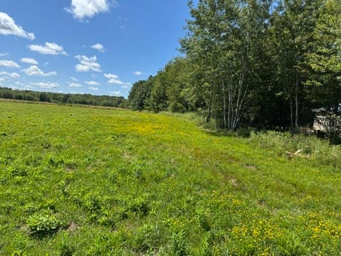 Vacant Land For Sale - 8574 Kinsey Road<br/> Erie County, Cranesville, PA 16410