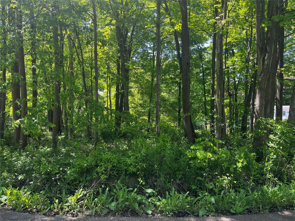 0 Woodmont & Susquehanna Drive, Meadville, Pennsylvania image 2