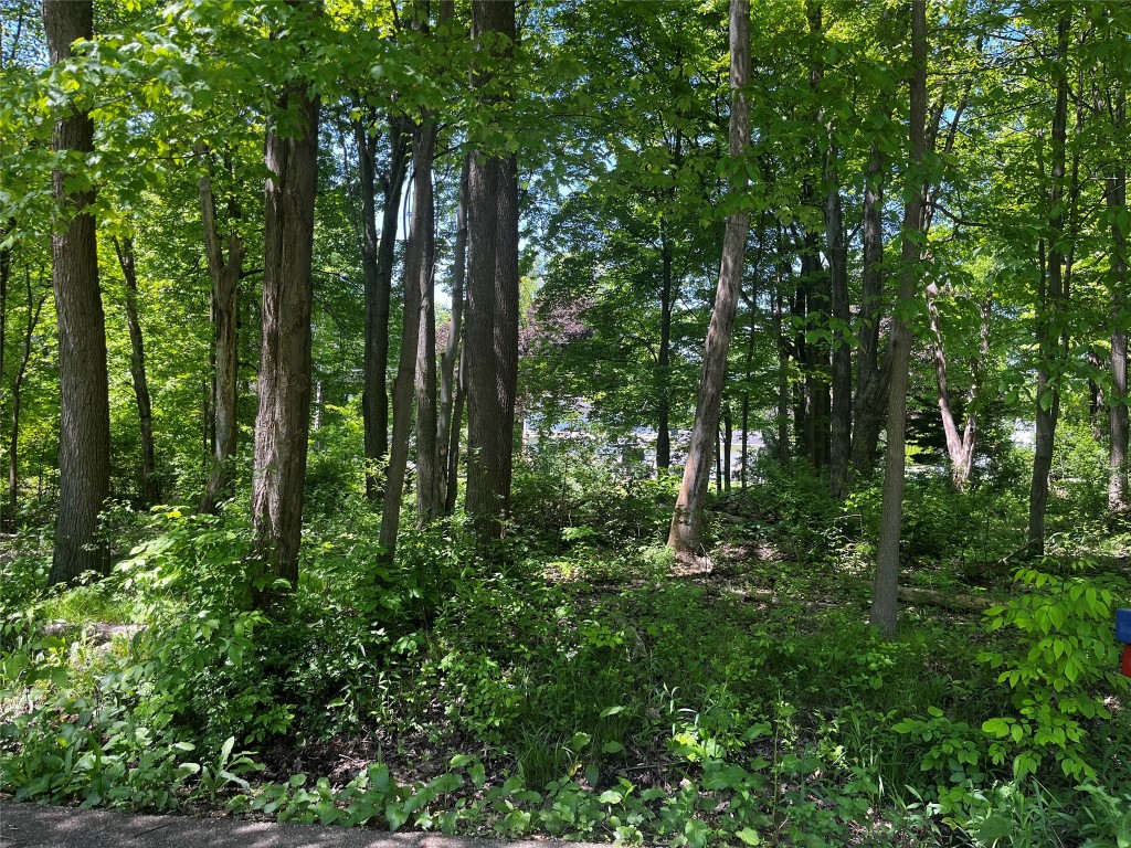 0 Woodmont & Susquehanna Drive, Meadville, Pennsylvania image 3