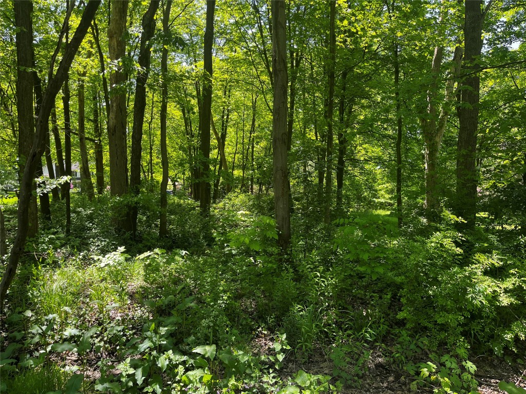 0 Woodmont & Susquehanna Drive, Meadville, Pennsylvania image 1