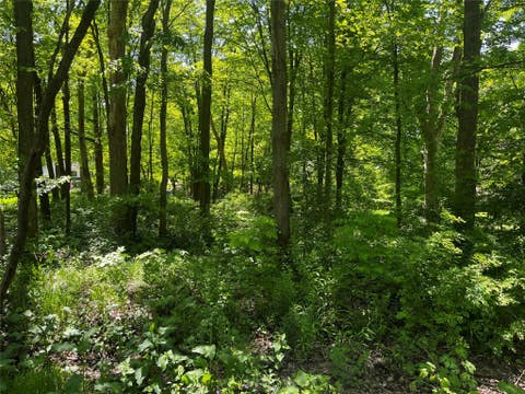 Photo for 0 WOODMONT & SUSQUEHANNA Drive