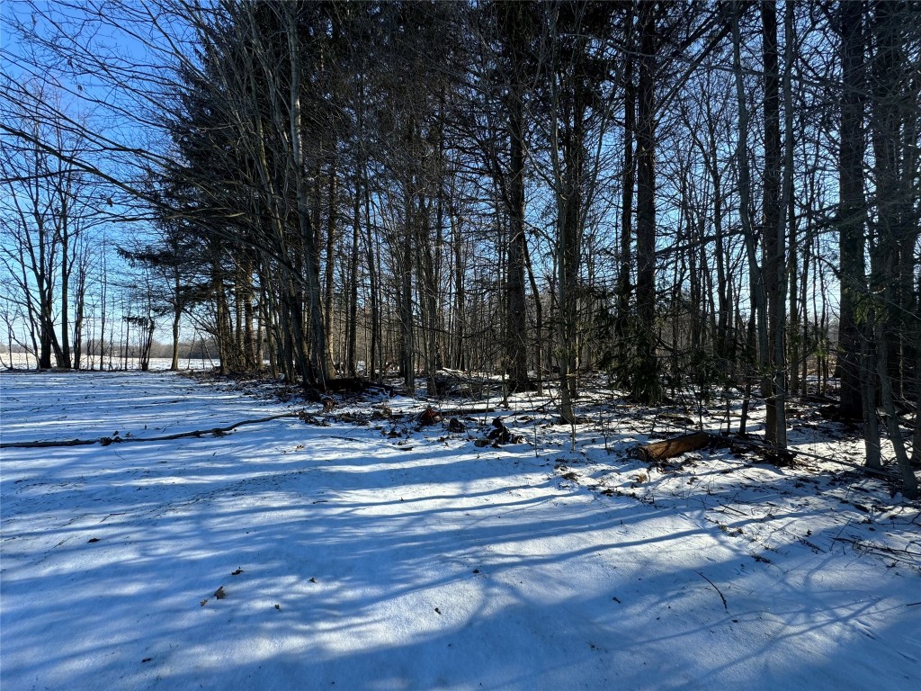 22668 Reeds Corner Road, Conneautville, Pennsylvania image 23