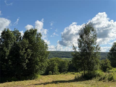 Photo for 15710 BEAVERDAM Road