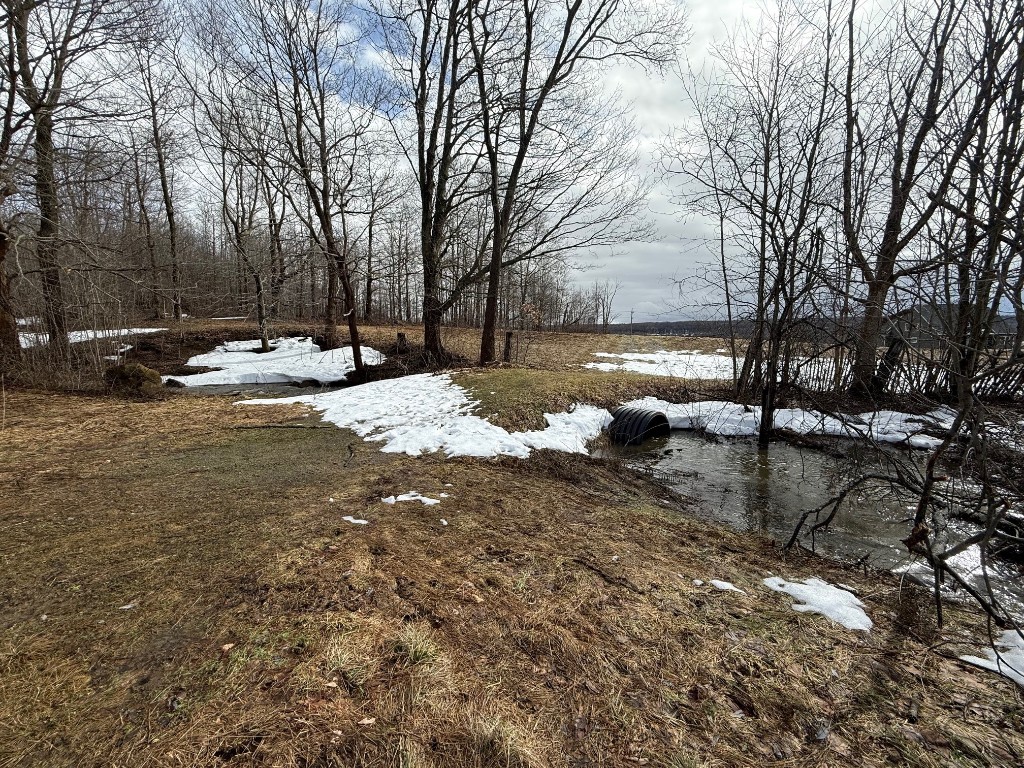 Flower Road, Erie, Pennsylvania image 12