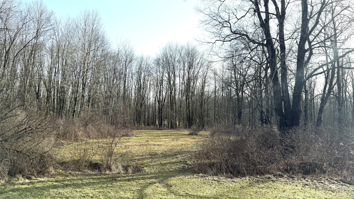 440 Kinsman Road, Jamestown, Pennsylvania image 10