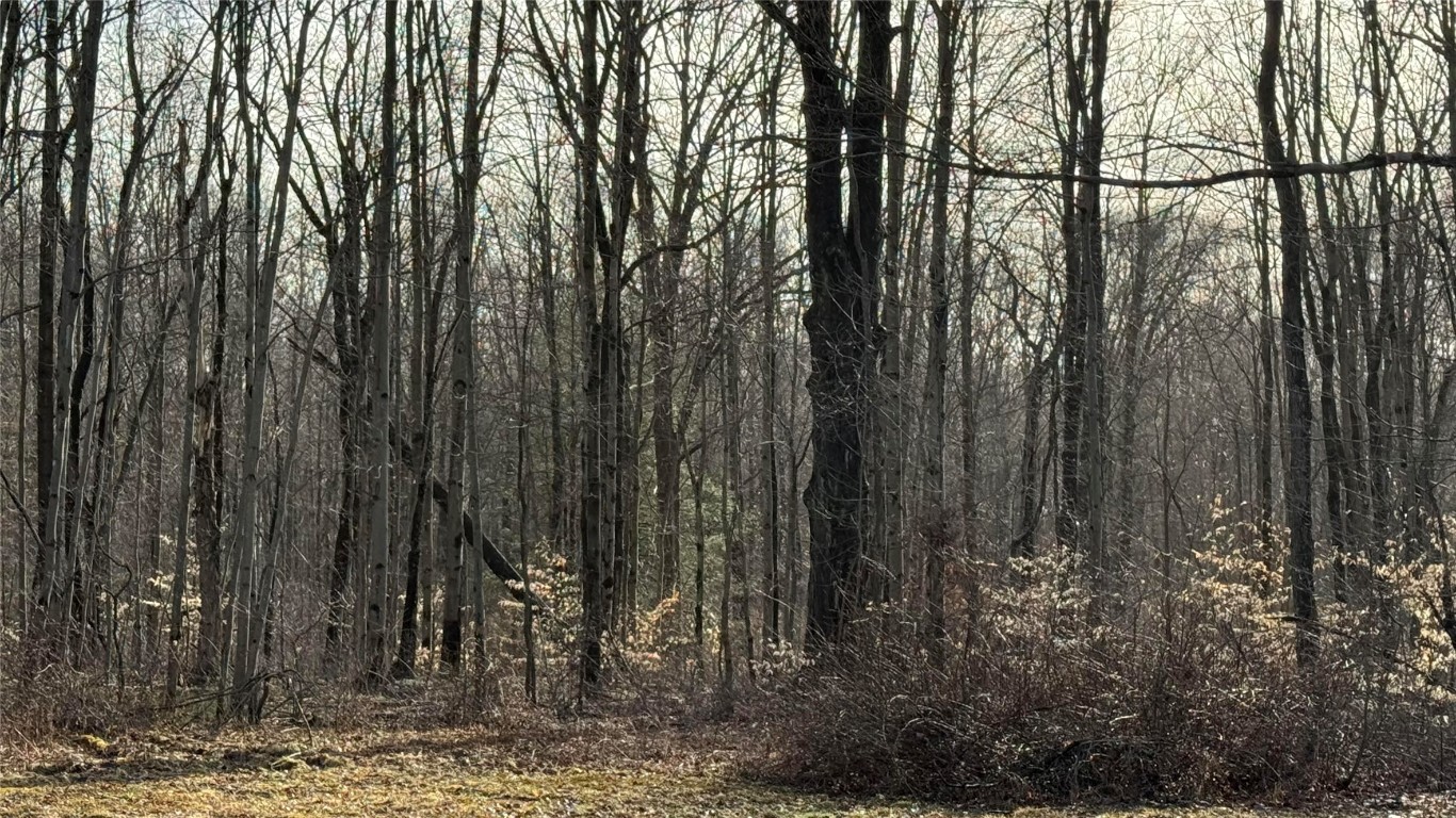 440 Kinsman Road, Jamestown, Pennsylvania image 8