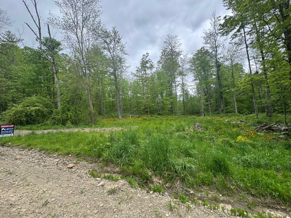 Lee Road, Erie, Pennsylvania image 3
