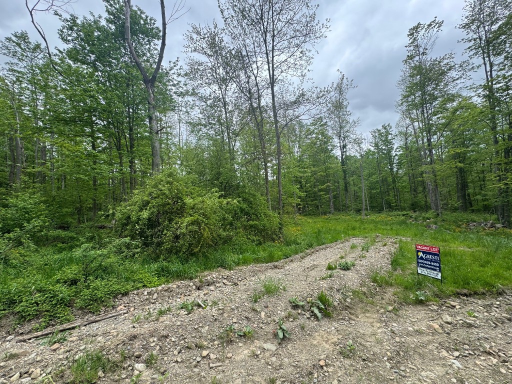 Lee Road, Erie, Pennsylvania image 4