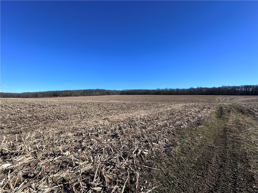 Fry Road, Edinboro, Pennsylvania image 8