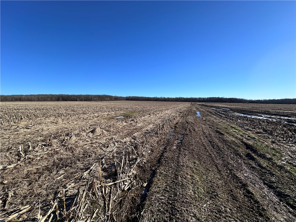 Fry Road, Edinboro, Pennsylvania image 5