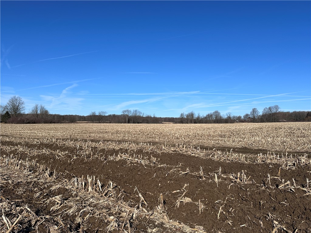 Fry Road, Edinboro, Pennsylvania image 7