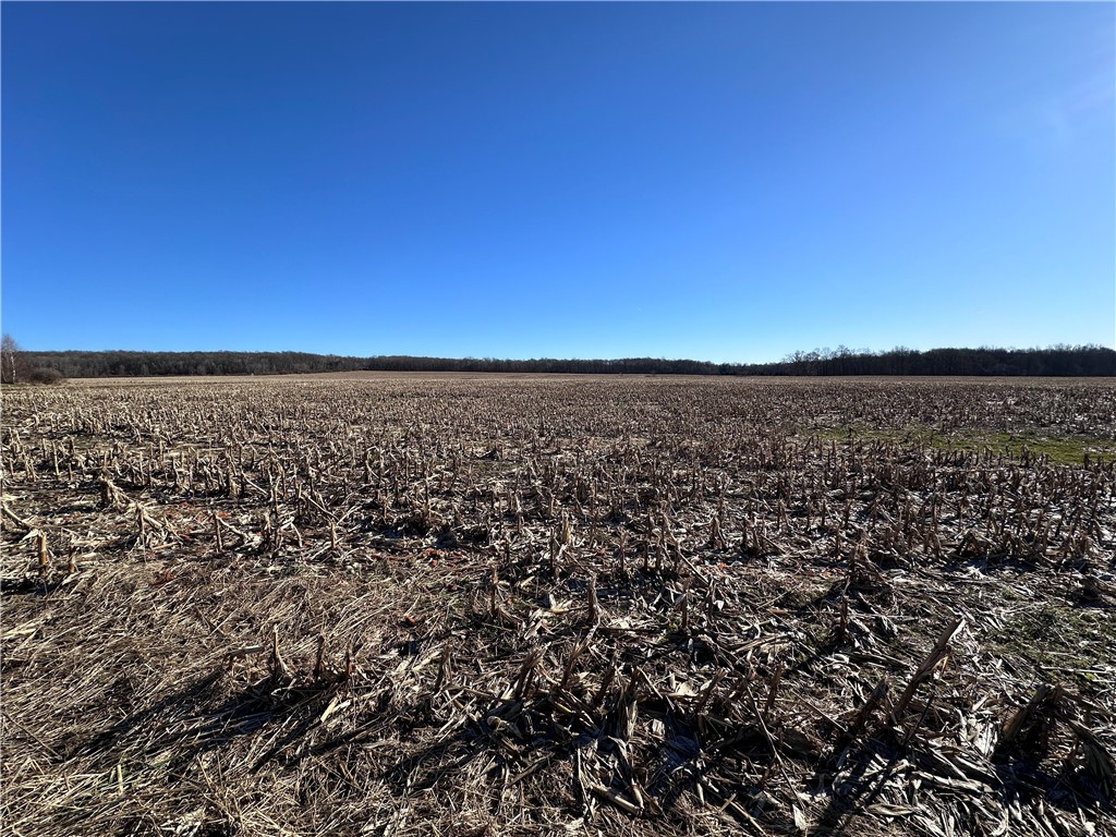 Fry Road, Edinboro, Pennsylvania image 3