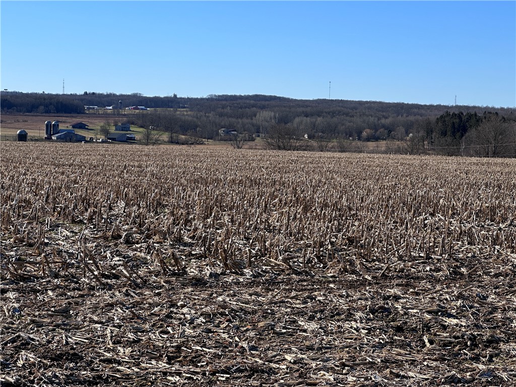 Fry Road, Edinboro, Pennsylvania image 6