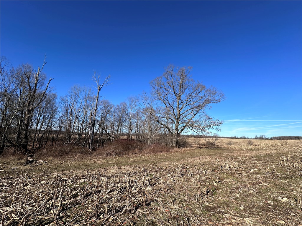 Fry Road, Edinboro, Pennsylvania image 11