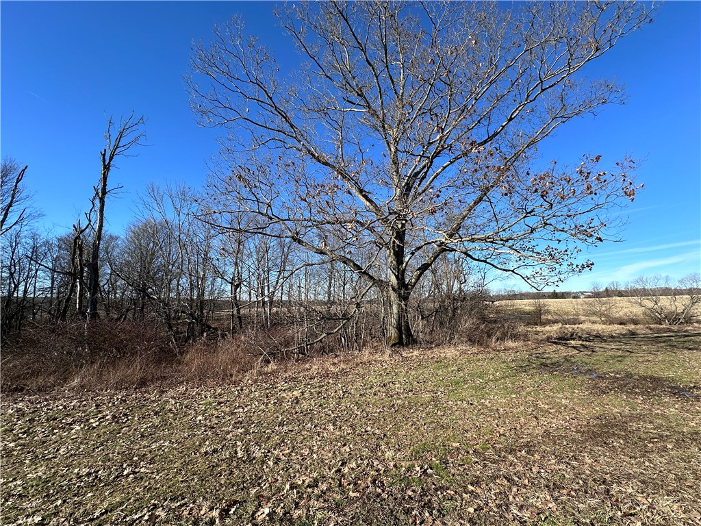 Fry Road, Edinboro, Pennsylvania image 10