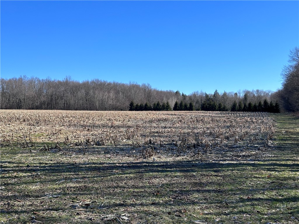 Fry Road, Edinboro, Pennsylvania image 13