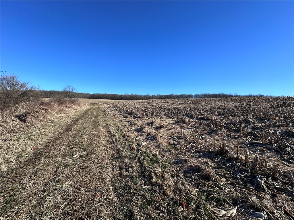 Fry Road, Edinboro, Pennsylvania image 9
