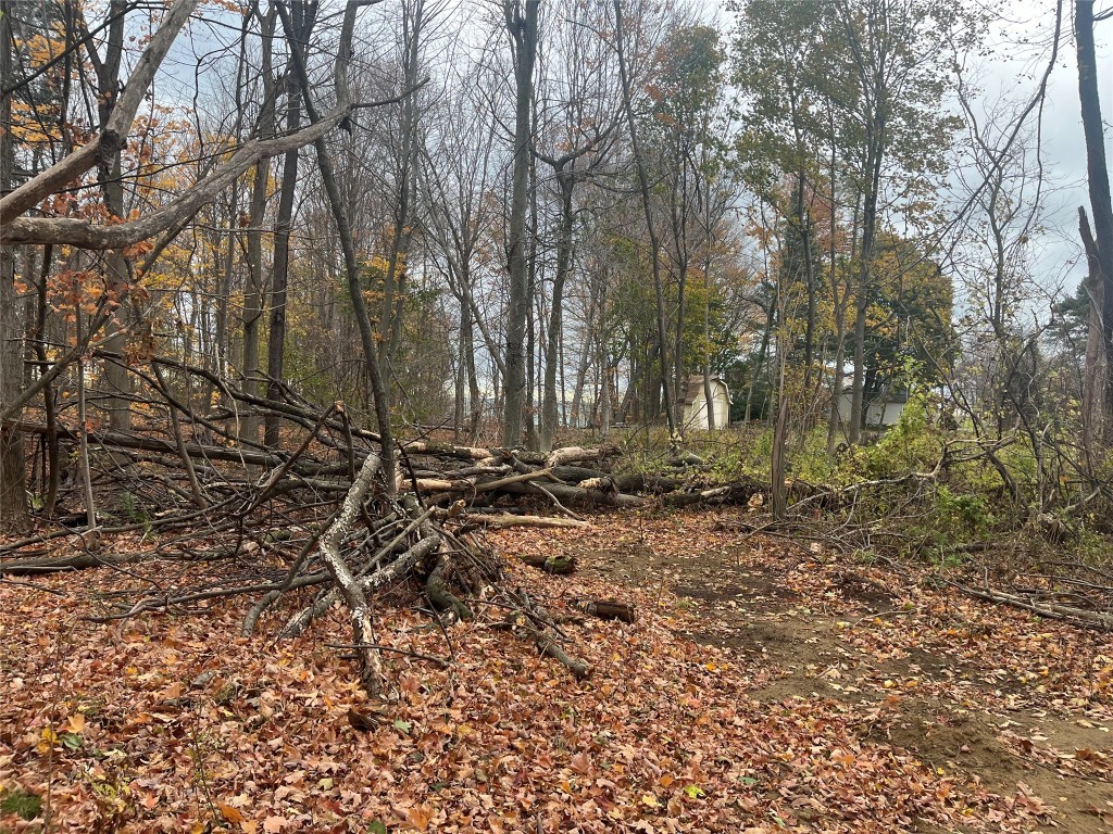 East Lake Road, Harborcreek, Pennsylvania image 10