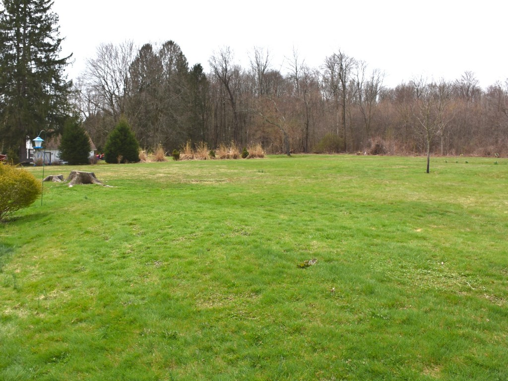 10031 Perry Highway, Meadville, Pennsylvania image 12