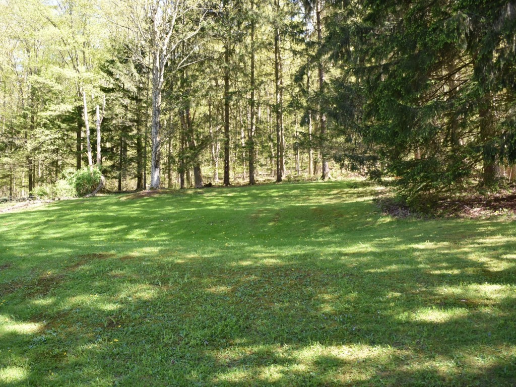 17147 Carline Drive, Meadville, Pennsylvania image 5