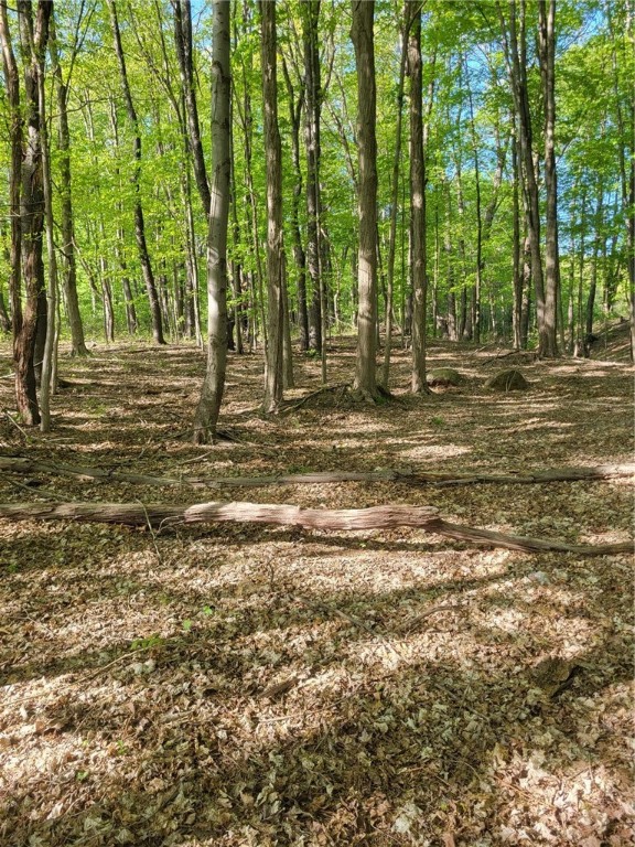 Scout Trail Road, Meadville, Pennsylvania image 1