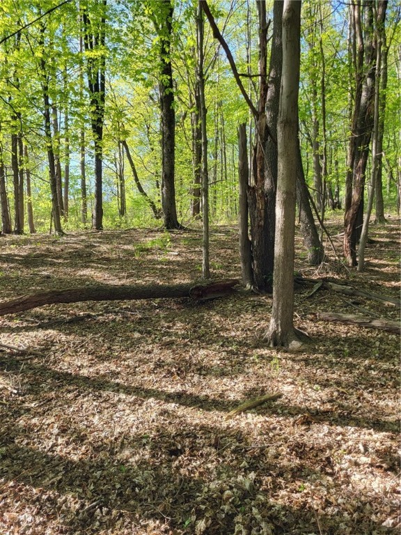 Scout Trail Road, Meadville, Pennsylvania image 2