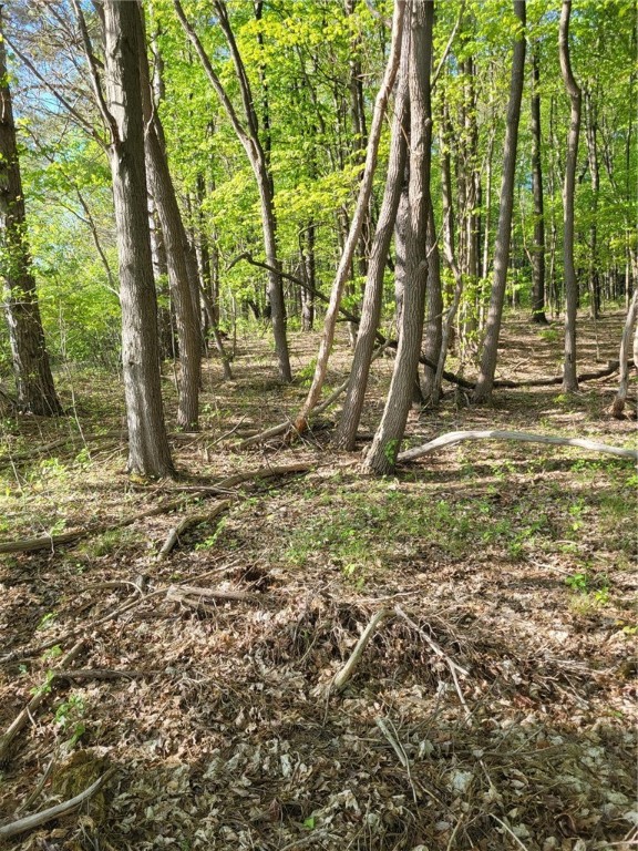 Scout Trail Road, Meadville, Pennsylvania image 4