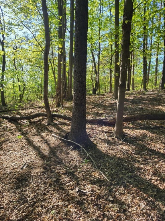 Scout Trail Road, Meadville, Pennsylvania image 3