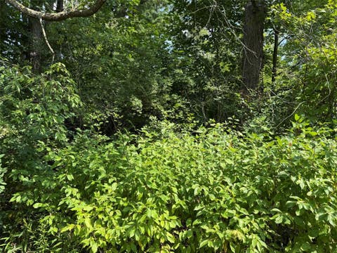 Photo for Lot 124 CHEROKEE Trail