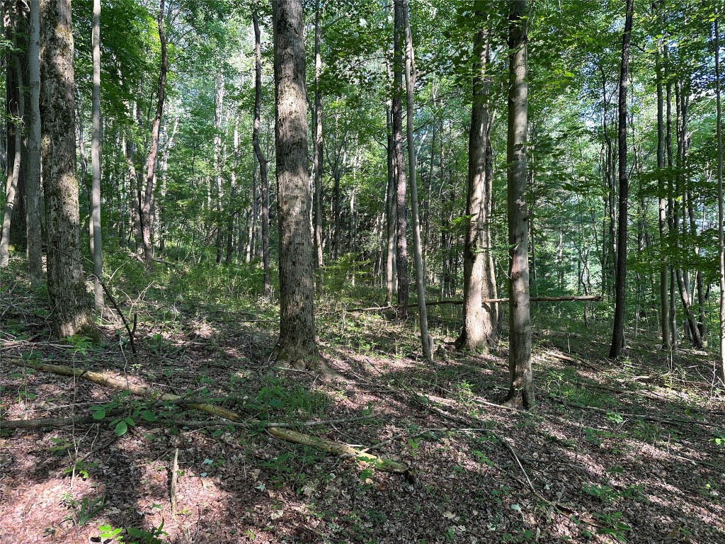 Sciota Road, Corry, Pennsylvania image 4