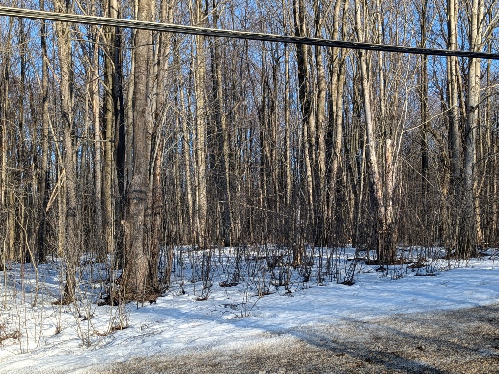 Old French Road, Erie, Pennsylvania image 1
