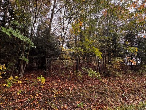 Vacant Land For Sale - LOT 1 Dobbs Road<br/> Centerville, PA 16404