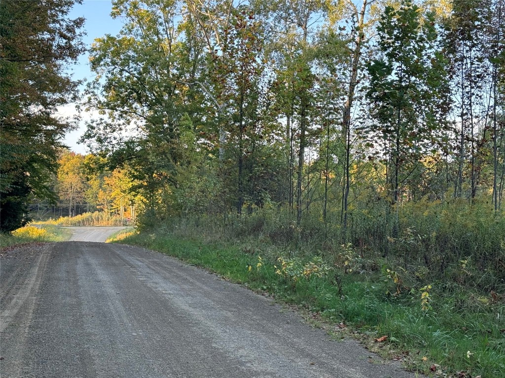 Welsh/clute Road, Waterford, Pennsylvania image 8