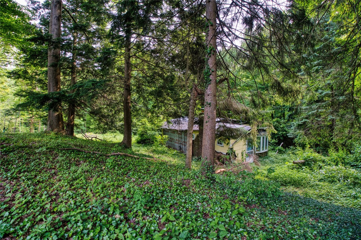 202 Marietta Avenue, Fairview, Pennsylvania image 4