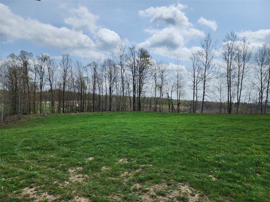 7000 Turner Road, Union City, Pennsylvania image 8