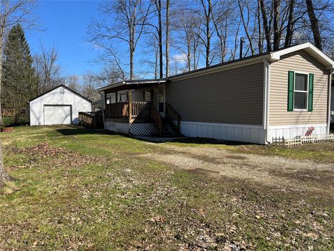Homes For Sale - 9926 Wigwam Trail<br/> Linesville, PA 16424