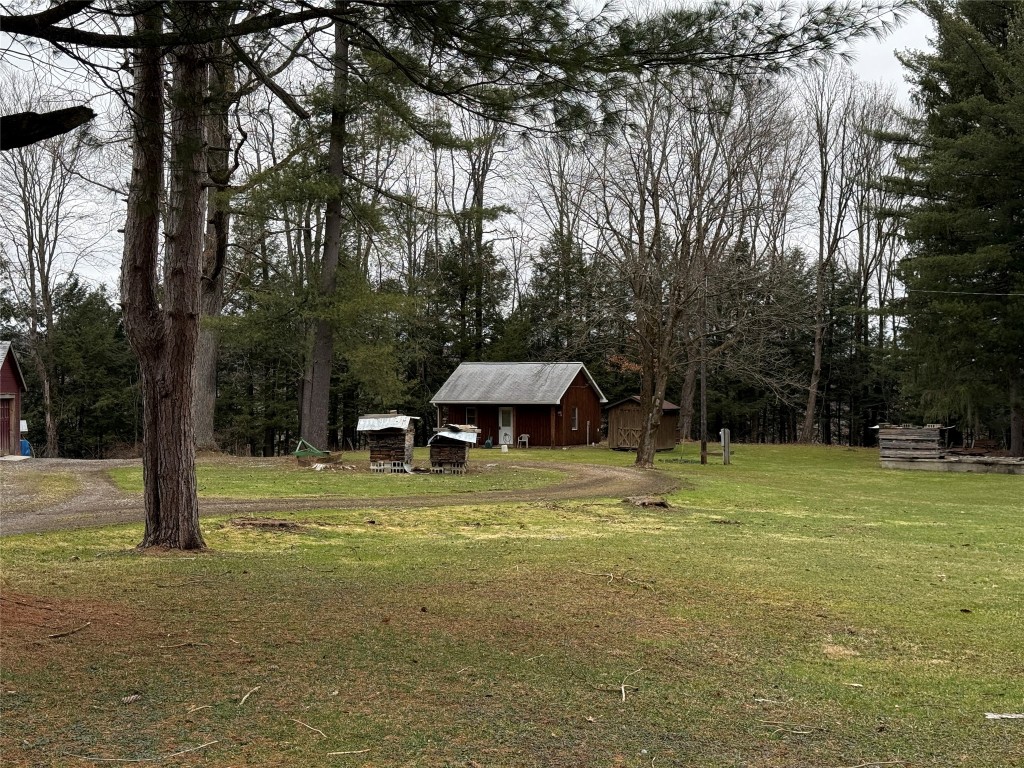 19431 Bockman Hollow Road, Saegertown, Pennsylvania image 5
